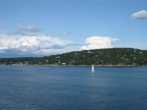 IMG_6453