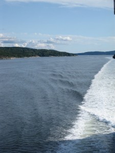 IMG_6456