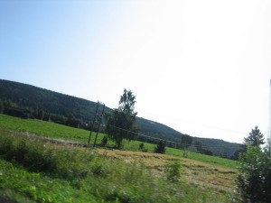 IMG_6530