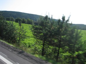 IMG_6531
